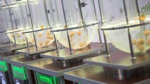 Se vienen tres sorteos millonarios de Fin de Año en Neuquén y Río Negro