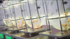 Este miércoles se desarrollará el sorteo de los 342 lotes en Viedma