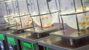 Récord en Lotería: $40.000.000 transferidos a la Provincia