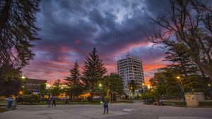 Vaca Muerta, clave para las inversiones en toda la zona