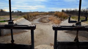 Por la sequía, Carreras hará ajustes en el riego del Valle