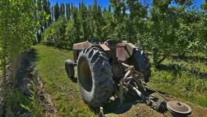 Lo golpeó un poste de más de 4 metros y cobrará 600 mil pesos de indemnización