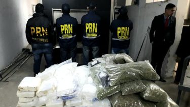 Queman droga secuestrada en procedimientos realizados en el Alto Valle