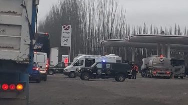 Gendarmería realiza un operativo de control sobre la Ruta 22 en Allen