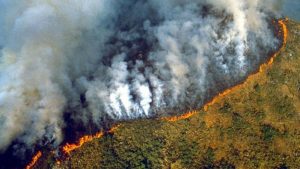 Incendios en la Amazonia: hubo 72 mil focos desde enero