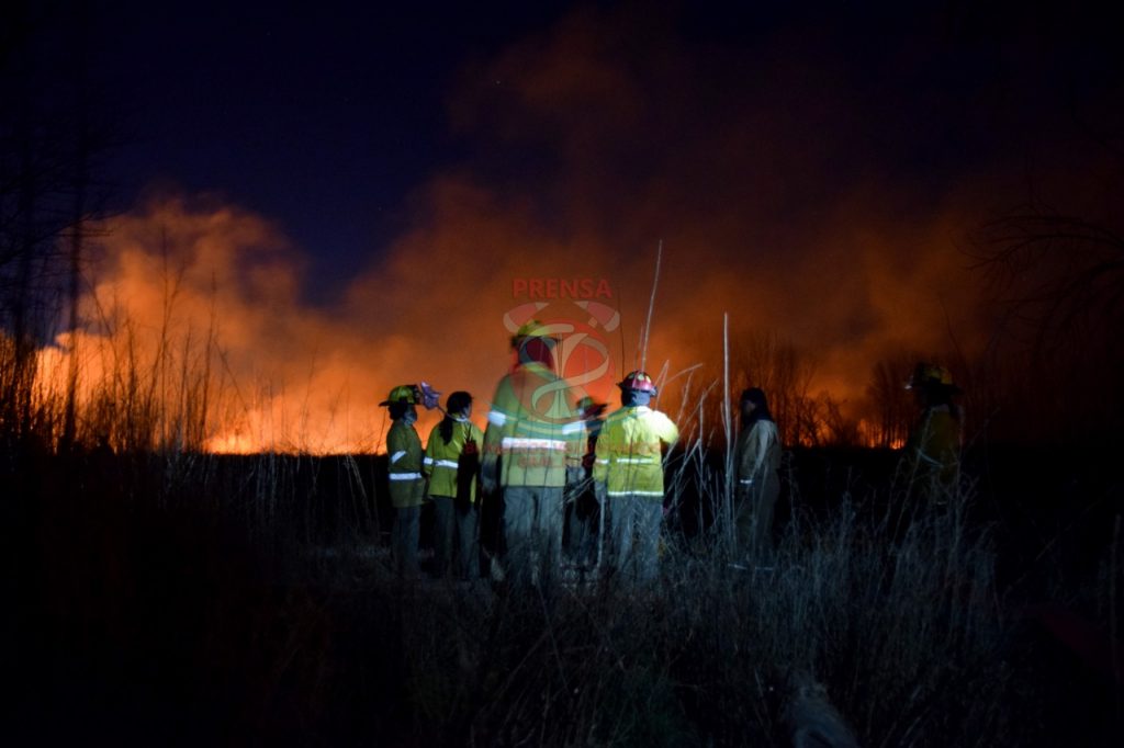 El fuego afectó cuatro chacras ubicadas al sur de la Ruta 22. (foto: gentileza bomberos). 
