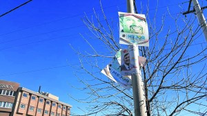 Plaza Huincul: Multarán a los partidos que no retiren los afiches políticos