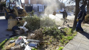 Operativo puerta a puerta. 