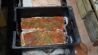 Fotos: Néstor Salas. 