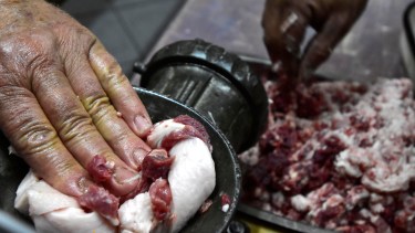 Fotos: Néstor Salas. 