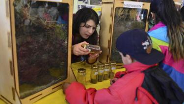 La experiencia en el Scum se llevó a cabo el año pasado. Foto: archivo