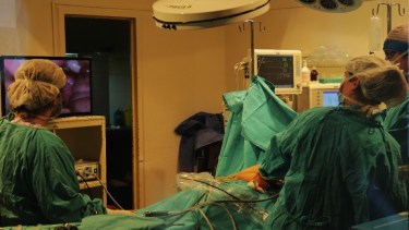 Río Negro tiene cuatro equipos hospitalarios dedicados a la procuración y ablación de órganos.