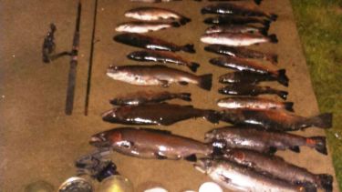 Se decomisaron salmónidos con un peso de 52 kilos. Foto: gentileza