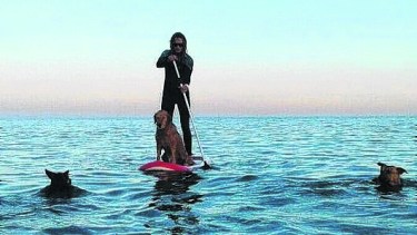 Iván en una de sus incursiones con la tabla. Acá, con sus fieles compañeros