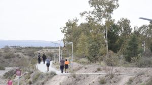 El municipio de Neuquén denunció el robo de 70 pinos en Parque Norte