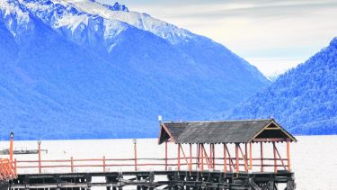 Frente al muelle, unos 60 cipreses sobresalen de la superficie. 