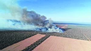 Amazonia: ¿estamos cerca? Una historia de fuegos que se repite