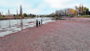 Miles de hectáreas sin riego por la drástica baja del río Colorado