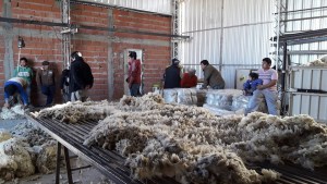 Jóvenes se capacitarán en el inicio de la zafra lanera