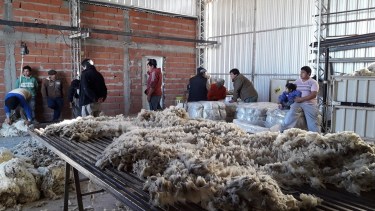 Jóvenes se capacitarán en el inicio de la zafra lanera