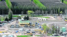 Imagen de Río Negro: dos firmas lideran la producción