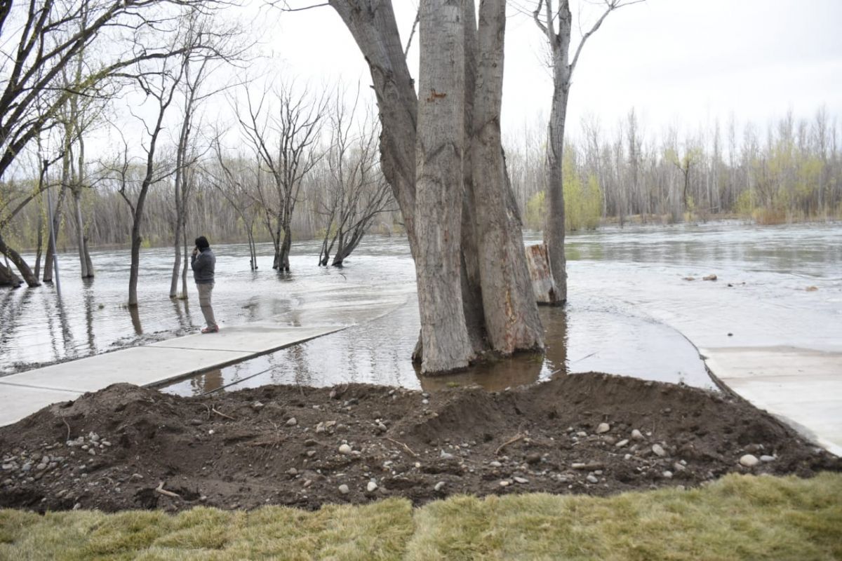El río Limay inundó parte de la extensión del Paseo Costero que se inauguró hoy por el aniversario de Neuquén. (Florencia Salto).-