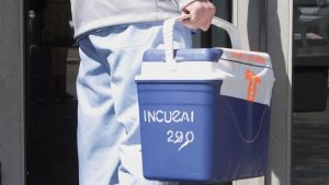 Se realizó en Roca la octava ablación multiorgánica del año