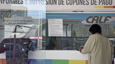 La sede de la cooperativa vive días agitados antes del verano.  Foto: Florencia Salto