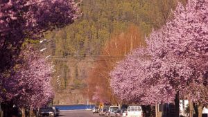 Sigue la calidez este martes: mirá el pronóstico en Río Negro y Neuquén