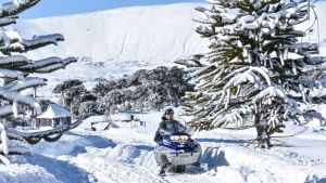 Un día en ese majestuoso rincón llamado Caviahue
