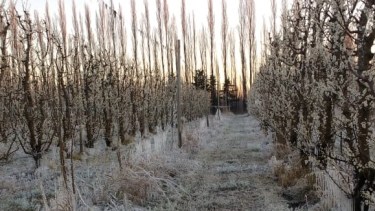 Así amanecieron las chacras esta mañana. (foto: Gentileza Franco Dalla Pría)