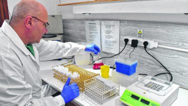 El laboratorio de Río Colorado, clave para asegurar la sanidad del ganado