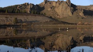 La laguna esteparia que volvió a tener agua después de 10 años