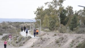 Los aguaribay reemplazan a los pinos en el Parque Norte de Neuquén