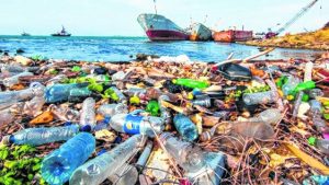 La lucha contra el plástico, el nuevo “demonio” del medioambiente