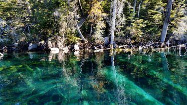 Un estudio alerta sobre el riesgo de un tsunami por el bosque sumergido en Traful