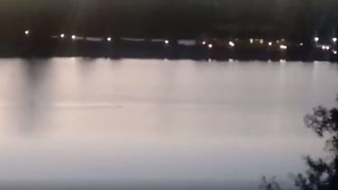 Un video reflotó la leyenda mapuche de un animal mitológico en Aluminé