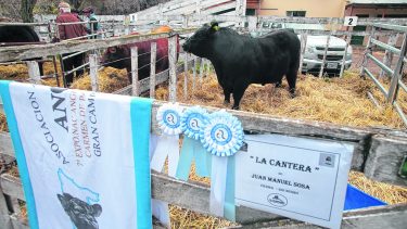 Ganaderos de Viedma y Patagones reclaman que se mantenga la barrera sanitaria