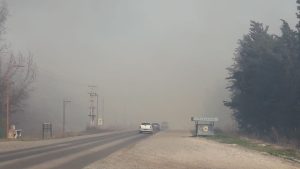 Cipolletti: Un incendio en Cuatro Esquinas complicó la visibilidad en la Ruta 151