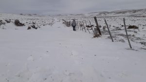 La Peña: “Yo tengo algo para el frío”, cuando no hay alternativa