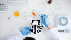 Qué se investiga sobre alimentos en la UNCo en Regina: comparten experiencias