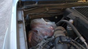 Secuestraron armas y carne en el puesto de Casa de Piedra