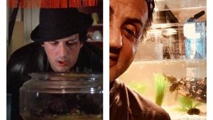 Las dos mascotas que Stallone conserva desde «Rocky I» y que volvieron a la pantalla