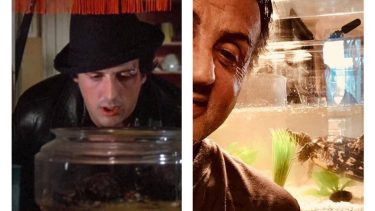 Las dos mascotas que Stallone conserva desde «Rocky I» y que volvieron a la pantalla