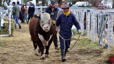Abrió la expo rural en Patagones