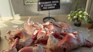 Secuestraron carne faenada de guanacos y corderos en Roca y Huergo