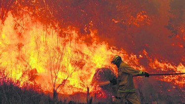 Hoy 64 brigadistas comenzarán a colaborar para sofocar los incendios en Córdoba. (Foto: Gentileza).