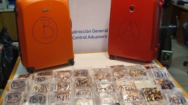 Parte del cargamento secuestrado. Foto gentileza.