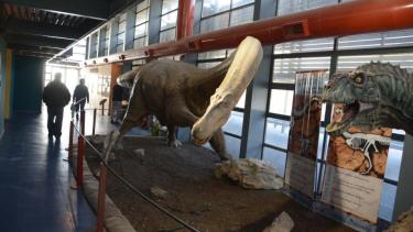 En Roca, el Museo de Cs. Naturales se suma a la «Semana de la Ciencia»