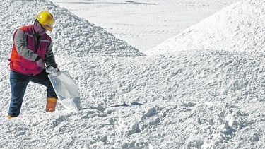 En Jujuy se encuentra una de las reservas más importantes del país y Sudamérica. Foto: Archivo.